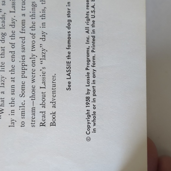 Lassie And Her Day In The Sun: A Little Golden Book - 1958 - Picture 5 of 8